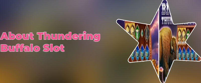 Free thundering buffalo slots
