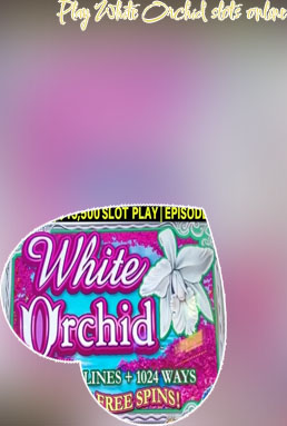 White orchid slot game